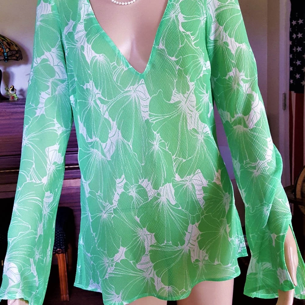 Beautiful Ann Taylor/LOFT  sheer top.Medium